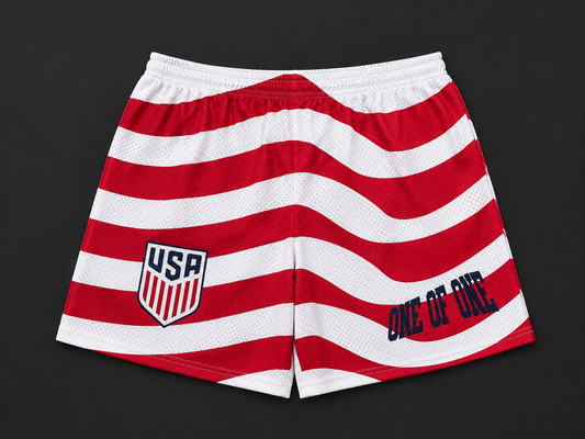 USA WORLD CUP SHORT HOME