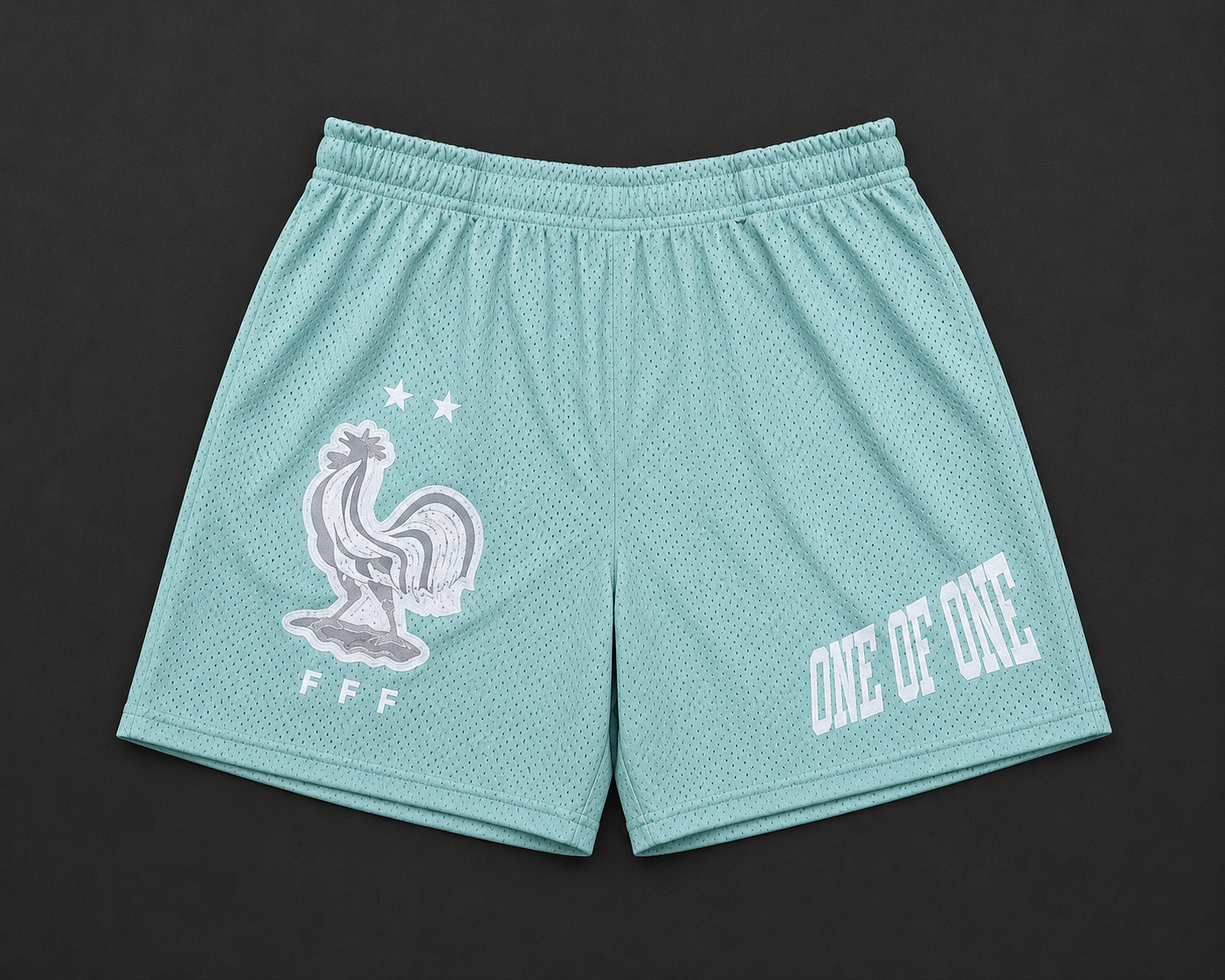 FFF WORLD CUP SHORT