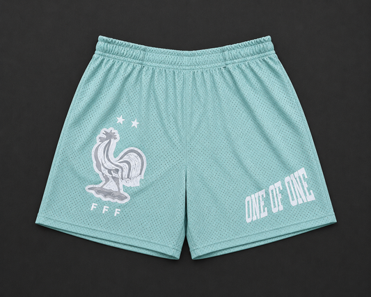 FFF WORLD CUP SHORT