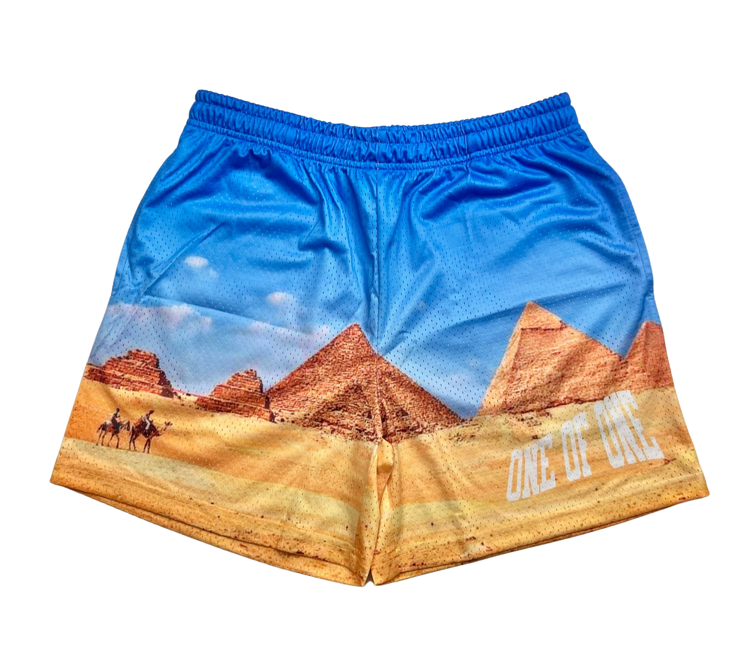 1OF1 Desert Collection